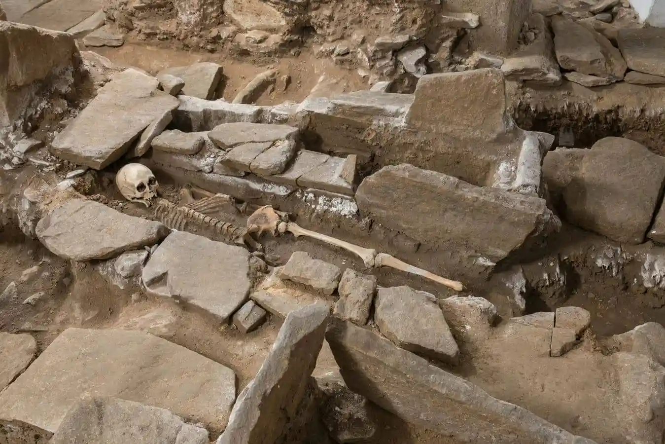 Detalle de un esqueleto in situ en uno de los enterramientos hallados en las excavaciones bajo la nave mayor.