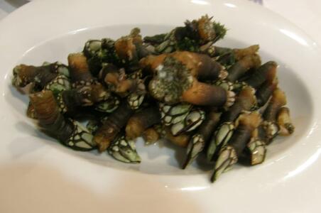 Plato con percebes. Por Larra Jungle Princess 