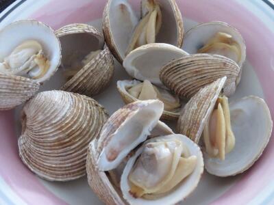 Plato de Almejas cocidas. Por Juan Emilio Prades Bel 